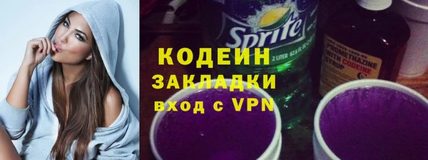 индика Балахна