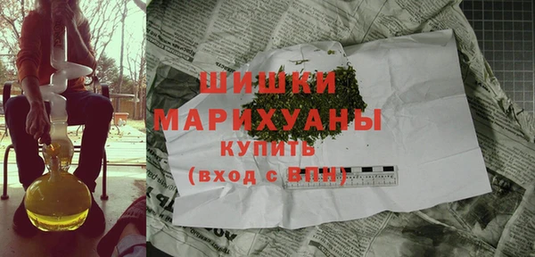 индика Балахна