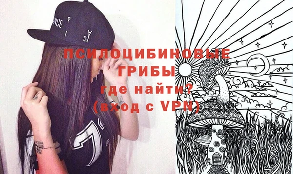индика Балахна