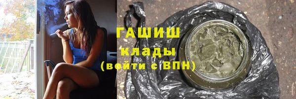 индика Балахна