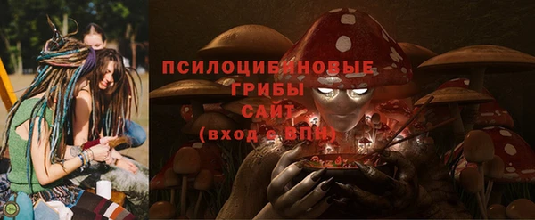 индика Балахна