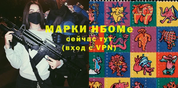 индика Балахна